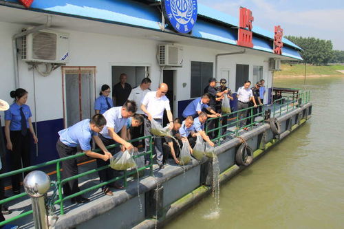 湖北省檢察機關 十年禁捕護航長江生態，固體廢物治理助力大保護